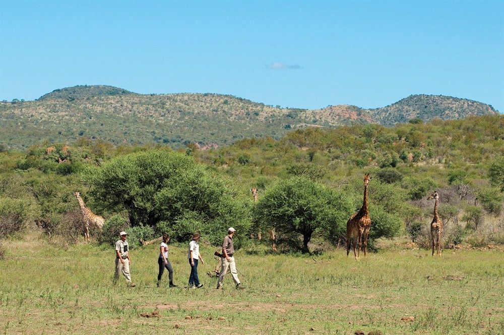 Madikwe Safari Lodge Melorane Экстерьер фото