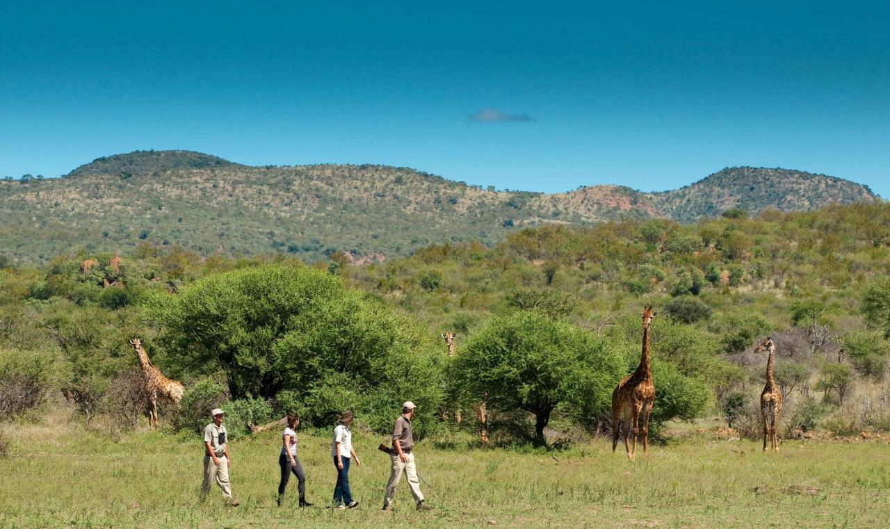 Madikwe Safari Lodge Melorane Экстерьер фото