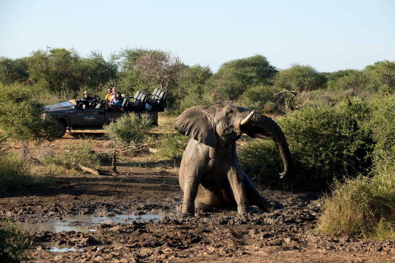 Madikwe Safari Lodge Melorane Экстерьер фото